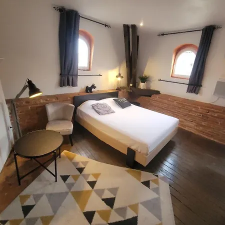 Studio Typique Toulousain Capitole * Tolosa